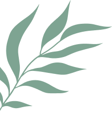 leaf-Vector