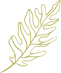 yellow-leaf-Vector